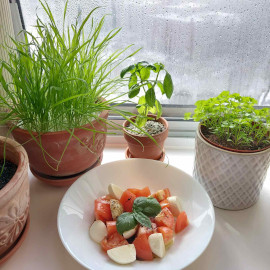 Basil Caprese Salad