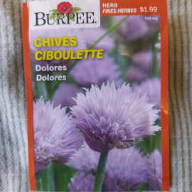 Chives