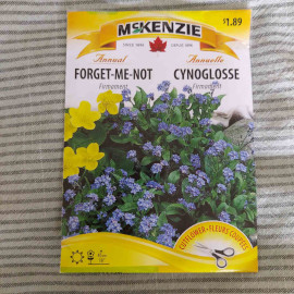 Chinese Forget-Me-Not