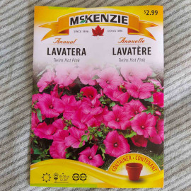 Lavatera