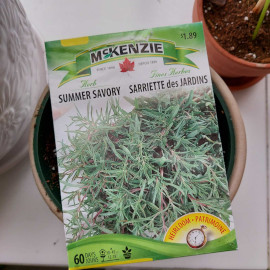 Summer savory