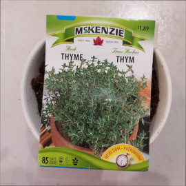 Thyme